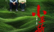 小草青青电视剧全集,青春岁月里的奋斗与成长